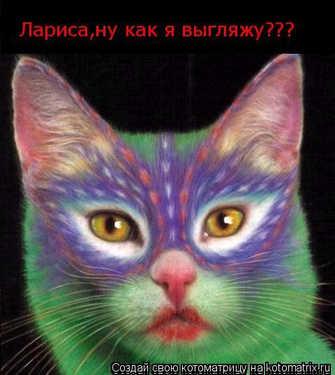 Лариса,ну как я выгляжу???... Котоматрица: Лариса,ну как я выгляжу???