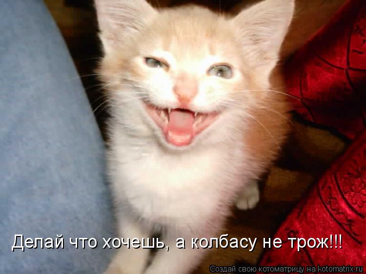 Делай что хочешь, а колбасу не трож!!!... Котоматрица: Делай что хочешь, а колбасу не трож!!!