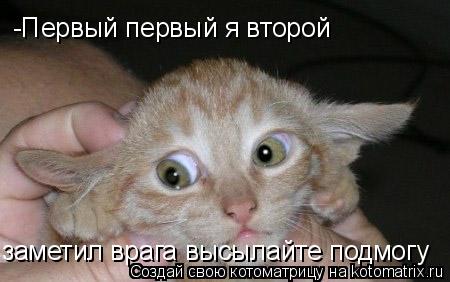 -Первый первый я второй заметил врага высылайте подмогу... Котоматрица: -Первый первый я второй заметил врага высылайте подмогу