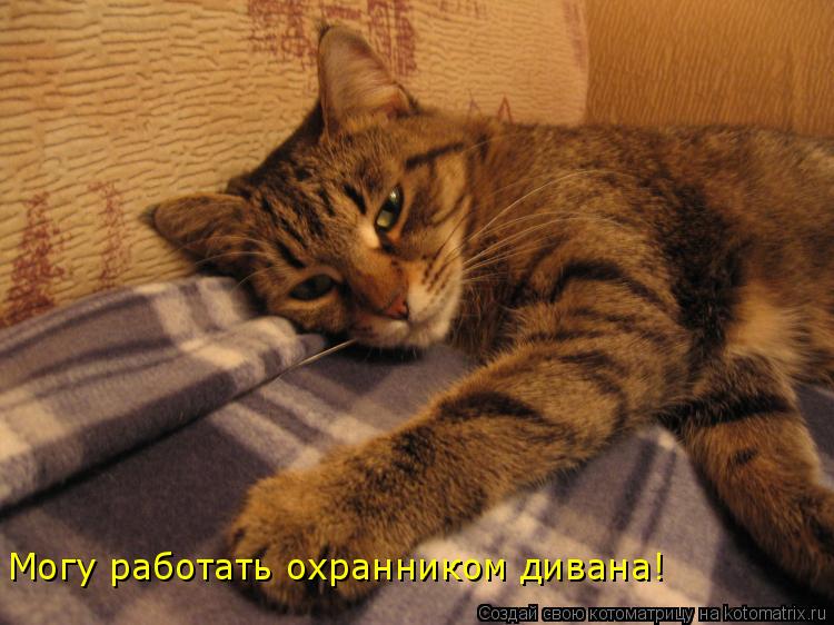 Могу работать охранником дивана!... Котоматрица: Могу работать охранником дивана!