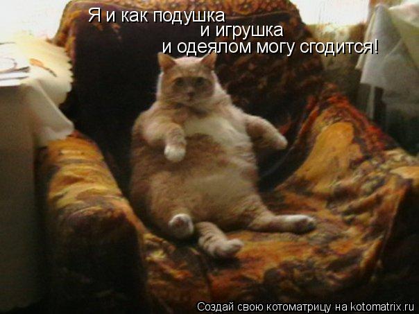Я и как подушка и игрушка и одеялом могу сгодится!... Котоматрица: Я и как подушка и игрушка и одеялом могу сгодится!