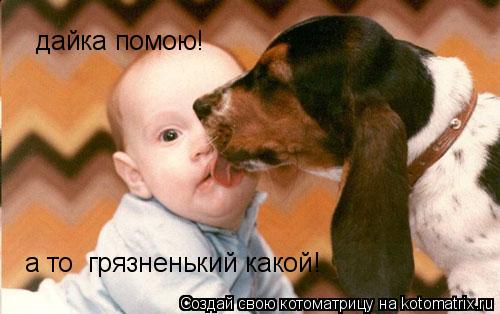 дайка помою! а то грязненький какой!... Котоматрица: дайка помою! а то грязненький какой!