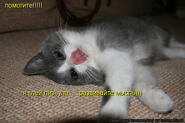 помогите!!!!! я клей лизнула......развивайте мысль)))... Котоматрица: помогите!!!!! я клей лизнула......развивайте мысль)))