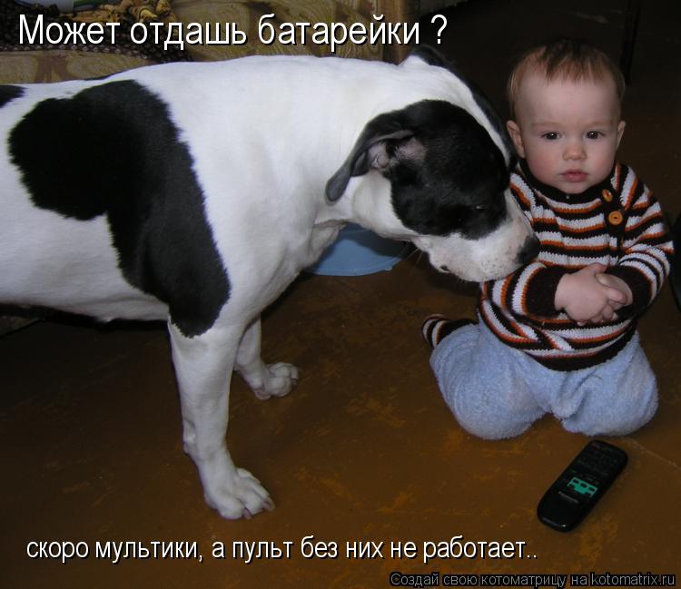 Котоматрица: Может отдашь батарейки ? скоро мультики, а пульт без них не работает..