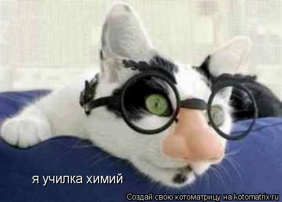 Котоматрица: я училка химий