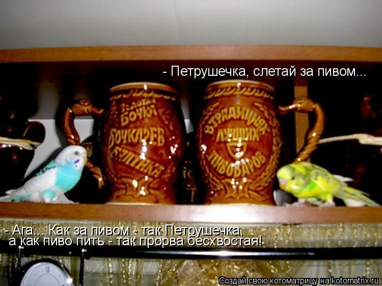 - Петрушечка, слетай за пивом... - Ага... Как за пивом - так Петрушечка, а как пиво пить - так прорв... Котоматрица: - Петрушечка, слетай за пивом... - Ага... Как за пивом - так Петрушечка, а как пиво пить - так прорва бесхвостая!