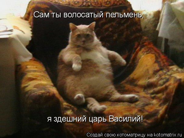 Котоматрица: Сам ты волосатый пельмень, я здешний царь Василий!