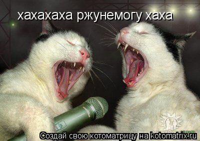 хахахаха ржунемогу хаха... Котоматрица: хахахаха ржунемогу хаха