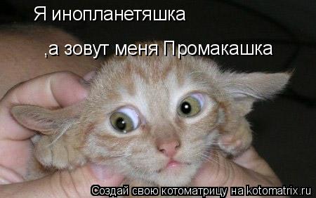 Я инопланетяшка ,а зовут меня Промакашка... Котоматрица: Я инопланетяшка ,а зовут меня Промакашка