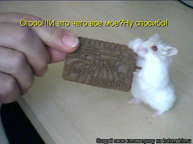 Огооо!!!И ето чего все мое?Ну спосибо!... Котоматрица: Огооо!!!И ето чего все мое?Ну спосибо!