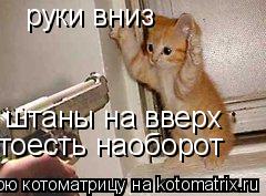 руки вниз штаны на вверх тоесть наоборот... Котоматрица: руки вниз штаны на вверх тоесть наоборот