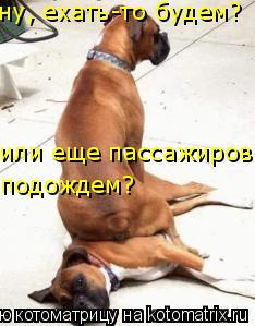 подождем? или еще пассажиров ну, ехать-то будем?... Котоматрица: подождем? или еще пассажиров ну, ехать-то будем?
