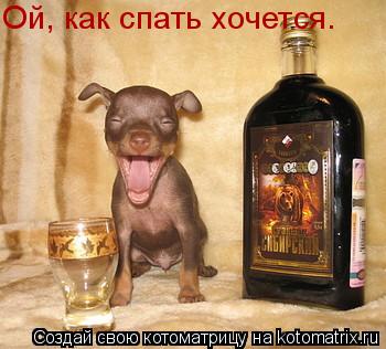 Котоматрица: Ой, как спать хочется.
