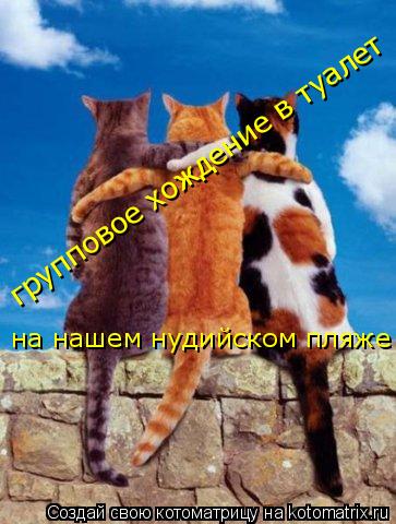 Котоматрица: групповое хождение в туалет на нашем нудийском пляже