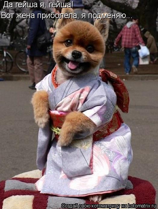 Да гейша я, гейша! Вот жена приболела, я подменяю...... Котоматрица: Да гейша я, гейша! Вот жена приболела, я подменяю...