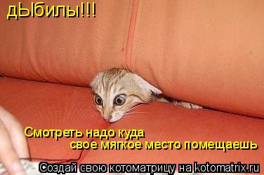 дЫбилы!!! Смотреть надо куда свое мягкое место помещаешь... Котоматрица: дЫбилы!!! Смотреть надо куда свое мягкое место помещаешь