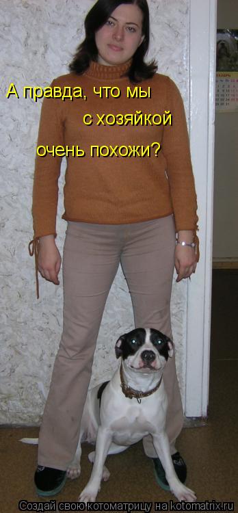 А правда, что мы с хозяйкой очень похожи?... Котоматрица: А правда, что мы с хозяйкой очень похожи?