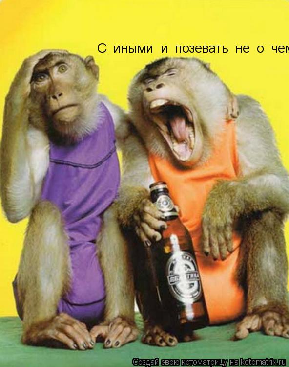 С иными и позевать не о чем!..... Котоматрица: С иными и позевать не о чем!..