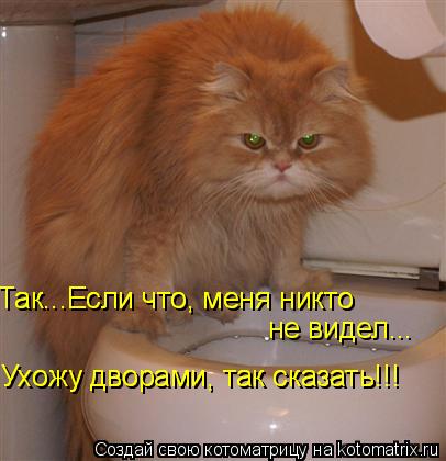 Так...Если что, меня никто Так...Если что, меня никто не видел... Ухожу дворами, так сказать!!! Ухо... Котоматрица: Так...Если что, меня никто Так...Если что, меня никто не видел... Ухожу дворами, так сказать!!! Ухожу дворами, так сказать!!!