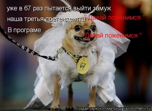 уже в 67 раз пытается выйти замуж наша третья претендентка В програме " Давай поженимся " " Давай п... Котоматрица: уже в 67 раз пытается выйти замуж наша третья претендентка В програме " Давай поженимся " " Давай поженимся "