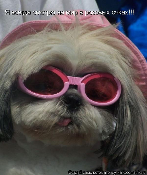 Котоматрица: Я всегда смотрю на мир в розовых очках!!!