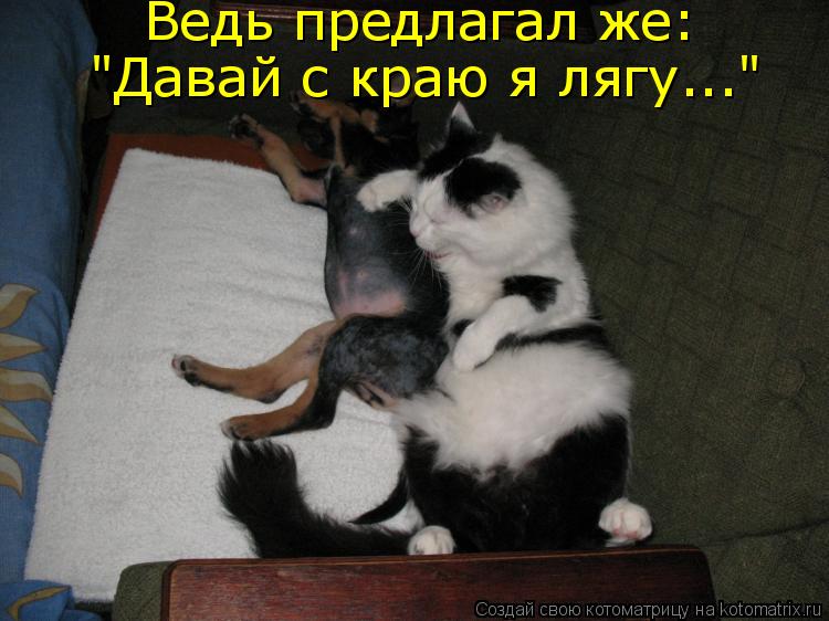 Котоматрица: Ведь предлагал же: "Давай с краю я лягу..."