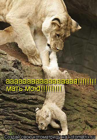 Котоматрица: ааааааааааааааааа мать мою !!!!!!!!!! !!!!!!!!!!