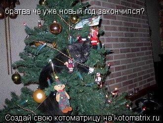 братва чё уже новый год закончился?... Котоматрица: братва чё уже новый год закончился?