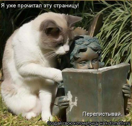 Я уже прочитал эту страницу! Перелистывай.... Котоматрица: Я уже прочитал эту страницу! Перелистывай.