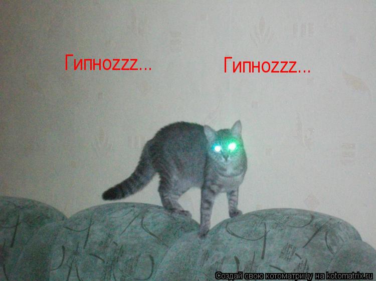 Гипноzzz... Гипноzzz...... Котоматрица: Гипноzzz... Гипноzzz...