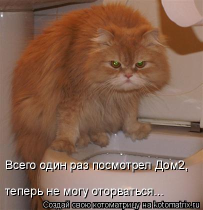 Всего один раз посмотрел Дом2, Всего один раз посмотрел Дом2, теперь не могу оторваться...... Котоматрица: Всего один раз посмотрел Дом2, Всего один раз посмотрел Дом2, теперь не могу оторваться...