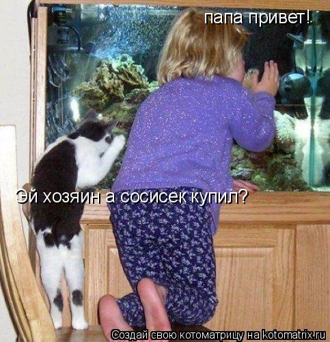 папа привет! Эй хозяин а сосисек купил?... Котоматрица: папа привет! Эй хозяин а сосисек купил?
