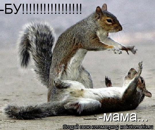 -мама... -БУ!!!!!!!!!!!!!!!!!... Котоматрица: -мама... -БУ!!!!!!!!!!!!!!!!!