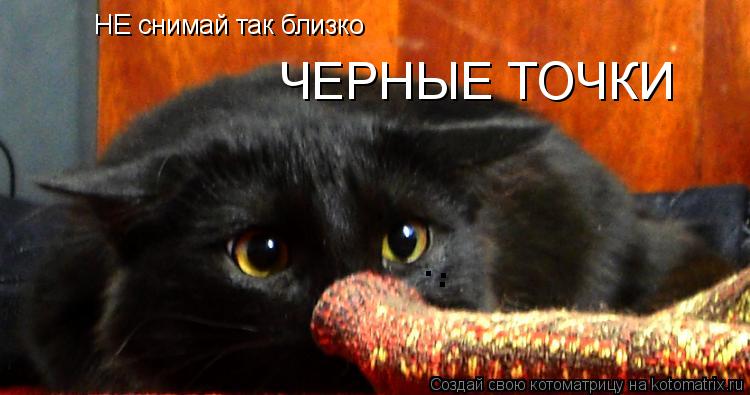 НЕ снимай так близко ЧЕРНЫЕ ТОЧКИ . . .... Котоматрица: НЕ снимай так близко ЧЕРНЫЕ ТОЧКИ . . .
