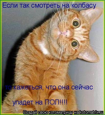 Если так смотреть на колбасу то кажеться, что она сейчас упадет на ПОЛ!!!!... Котоматрица: Если так смотреть на колбасу то кажеться, что она сейчас упадет на ПОЛ!!!!