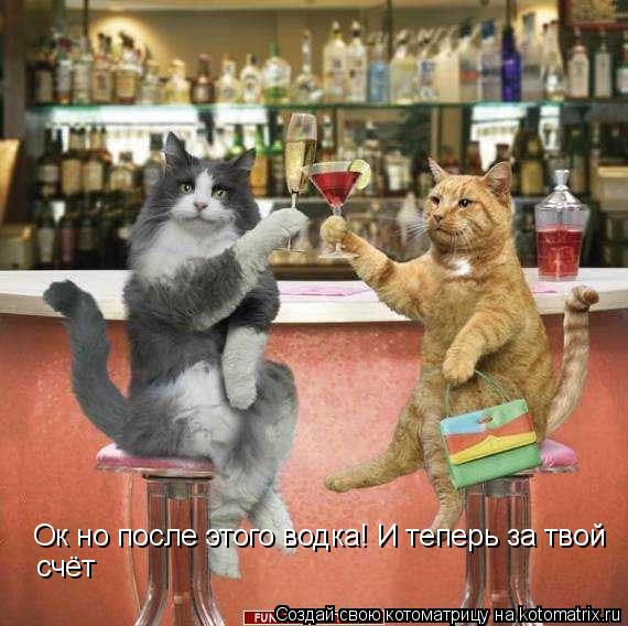 Котоматрица: Ок но после этого водка! И теперь за твой  счёт