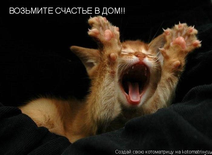 Котоматрица: ВОЗЬМИТЕ СЧАСТЬЕ В ДОМ!!