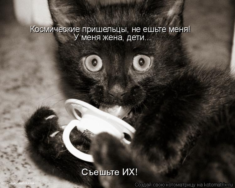 Котоматрица: Космические пришельцы, не ешьте меня! У меня жена, дети...  Съешьте ИХ!