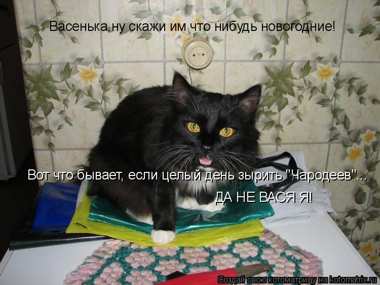 Васенька,ну скажи им что нибудь новогодние! Вот что бывает, если целый день зырить "Чародеев"... ДА... Котоматрица: Васенька,ну скажи им что нибудь новогодние! Вот что бывает, если целый день зырить "Чародеев"... ДА НЕ ВАСЯ Я!