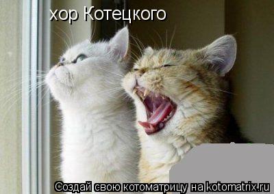 хор Котецкого... Котоматрица: хор Котецкого