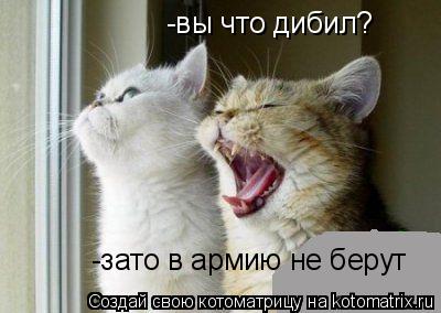 -вы что дибил? -зато в армию не берут... Котоматрица: -вы что дибил? -зато в армию не берут