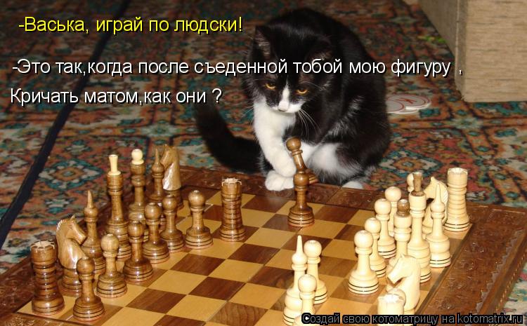 -Васька, играй по людски! -Это так,когда после съеденной тобой мою фигуру Кричать матом,как они ? ,... Котоматрица: -Васька, играй по людски! -Это так,когда после съеденной тобой мою фигуру Кричать матом,как они ? ,