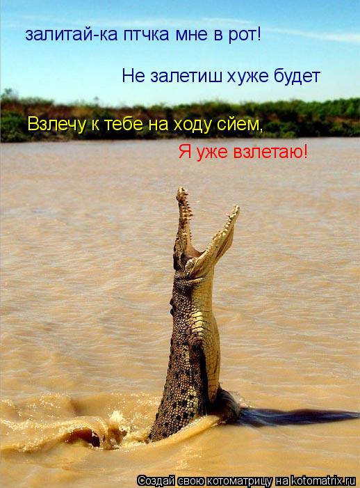 залитай-ка птчка мне в рот! Не залетиш хуже будет Взлечу к тебе на ходу сйем, Я уже взлетаю!... Котоматрица: залитай-ка птчка мне в рот! Не залетиш хуже будет Взлечу к тебе на ходу сйем, Я уже взлетаю!