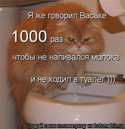 Я же говорил Ваське 1000 раз чтобы не напивался молока и не ходил в туалет )))... Котоматрица: Я же говорил Ваське 1000 раз чтобы не напивался молока и не ходил в туалет )))