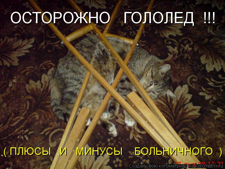 ОСТОРОЖНО ГОЛОЛЕД !!! ( ПЛЮСЫ И МИНУСЫ БОЛЬНИЧНОГО )... Котоматрица: ОСТОРОЖНО ГОЛОЛЕД !!! ( ПЛЮСЫ И МИНУСЫ БОЛЬНИЧНОГО )