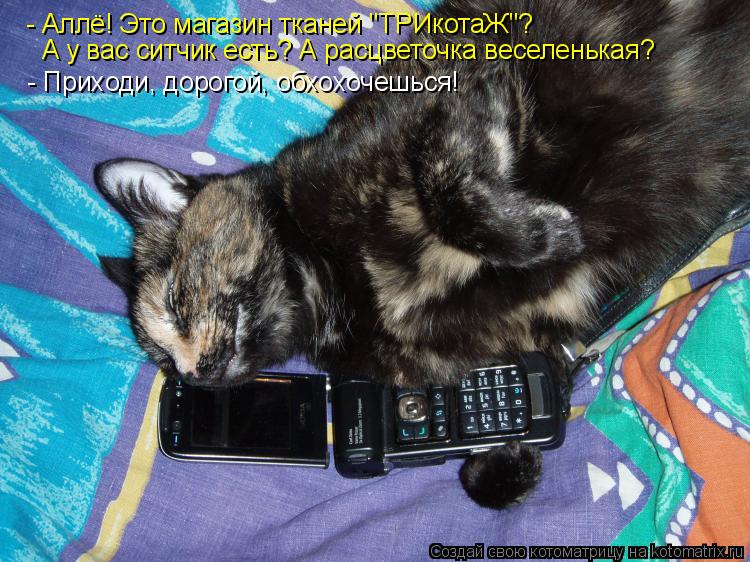 Котоматрица: - Аллё! Это магазин тканей "ТРИкотаЖ"? А у вас ситчик есть? А расцветочка веселенькая? - Приходи, дорогой, обхохочешься!