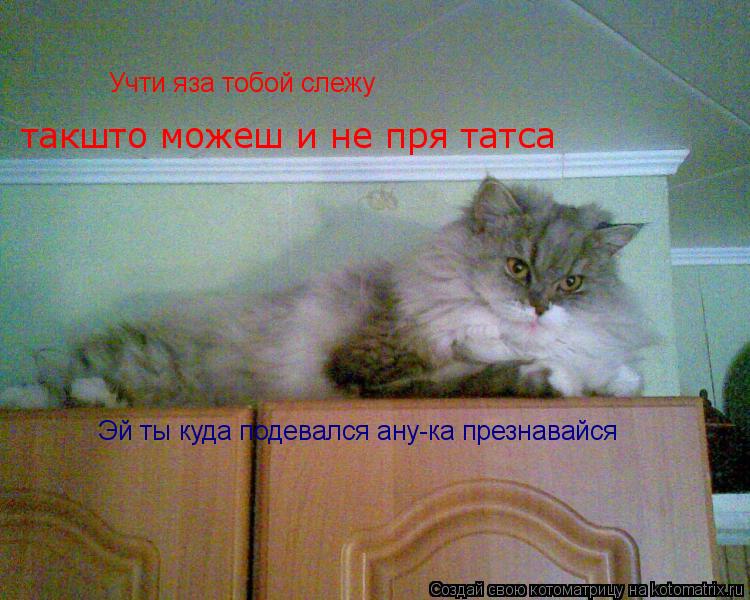 Учти яза тобой слежу такшто можеш и не пря татса Эй ты куда подевался ану-ка презнавайся... Котоматрица: Учти яза тобой слежу такшто можеш и не пря татса Эй ты куда подевался ану-ка презнавайся