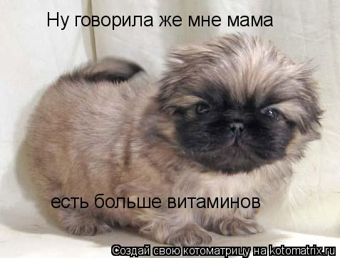Ну говорила же мне мама есть больше витаминов... Котоматрица: Ну говорила же мне мама есть больше витаминов