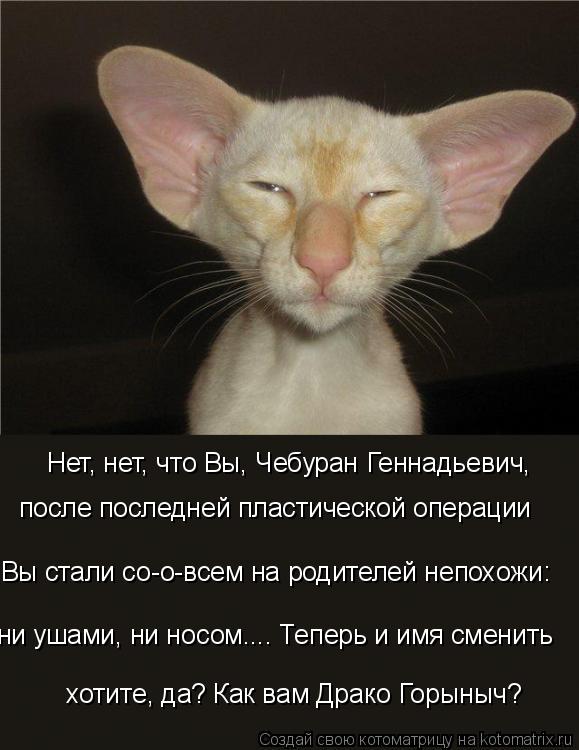 Котоматрица: Нет, нет, что Вы, Чебуран Геннадьевич,  хотите, да? Как вам Драко Горыныч? ни ушами, ни носом.... Теперь и имя сменить  после последней пластичес