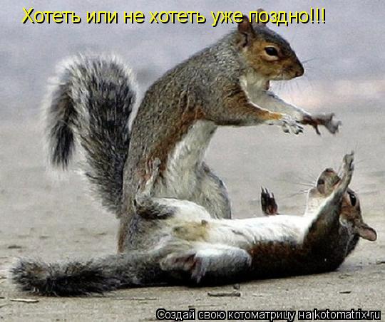 Котоматрица: Хотеть или не хотеть уже поздно!!!